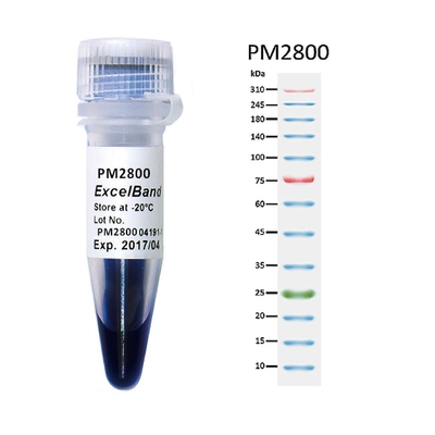 11 Band 9-180KDA Blue High Range Protein Marker 2x250ul 3 Warna 25-300kDa