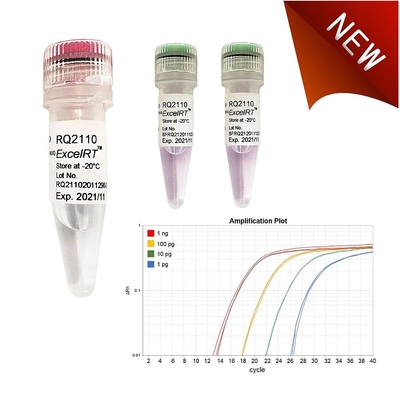 Reagen Biokimia No Rox QPCR Mix 1000 X 20ul Reaksi Accuris QMax Green