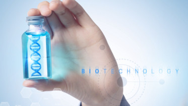 Penelitian Menggunakan Quick T4 DNA Ligase 400 U/UL Biochemical Reagent