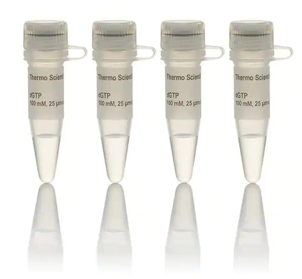 Reagen Biokimia Solusi Set DNTP 100 MM DATP DCTP DTTP DGTP