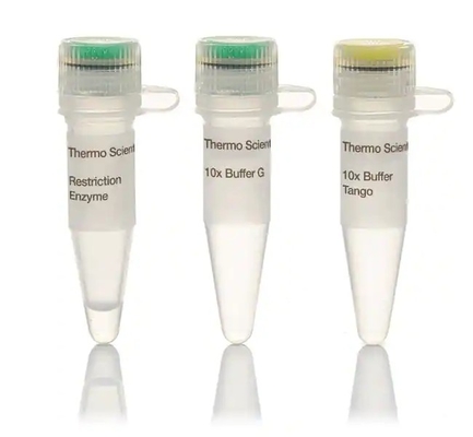 Pencernaan DNA Cepat 5-15Min Enzyme BsaI Biochemical Reagent CE Disetujui
