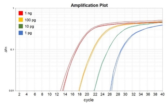 Reagen Biokimia No Rox QPCR Mix 1000 X 20ul Reaksi Accuris QMax Green
