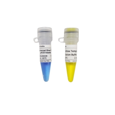 2× Universal Blue GSK Green QPCR Master Mix Dengan 40× Yellow Template Dilution Buffer
