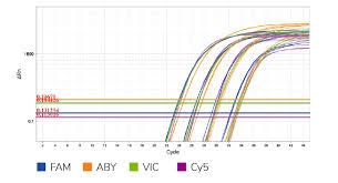 Universal TaqMan Multiplex QPCR Master Mix Reagen Biokimia
