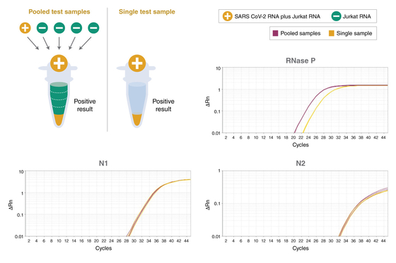 Universal TaqMan Multiplex QPCR Master Mix Reagen Biokimia