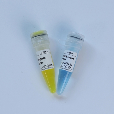Universal TaqMan Multiplex QPCR Master Mix Reagen Biokimia