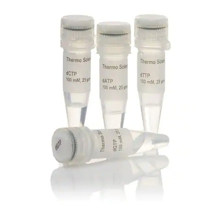 25mmol/L 99% Purity DNTP Mix 25mM Masing-masing untuk penggunaan penelitian HANYA
