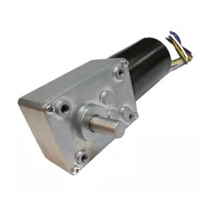 Low Noise Biaxial Worm Brushless Gear Motor Tegangan DC12V